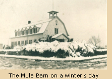 Historical photo of the Mule Barn on a winter's day.