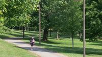 A person running on a trail through green trees.