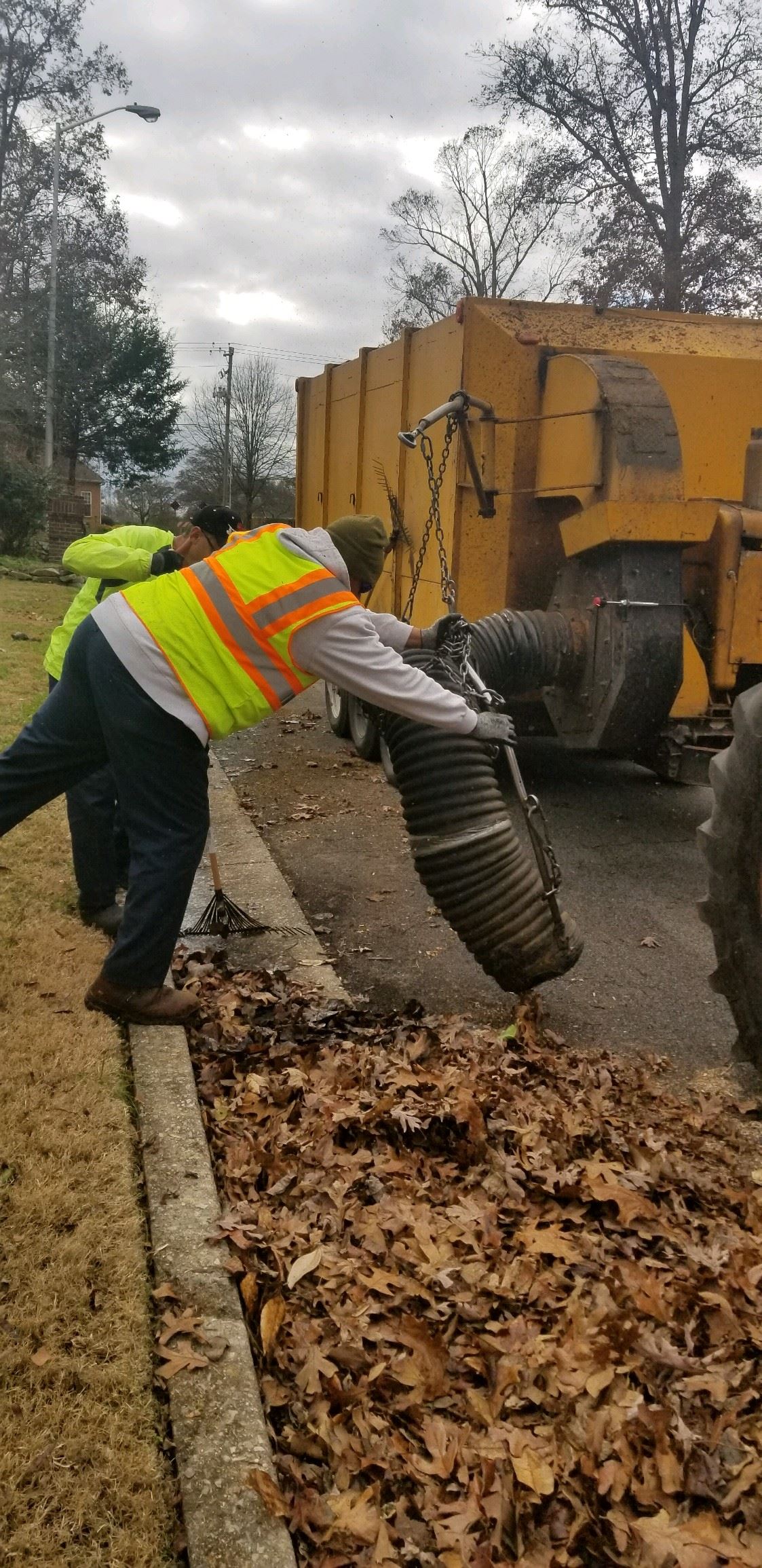 Sanitation workers pickup up leaves curbside