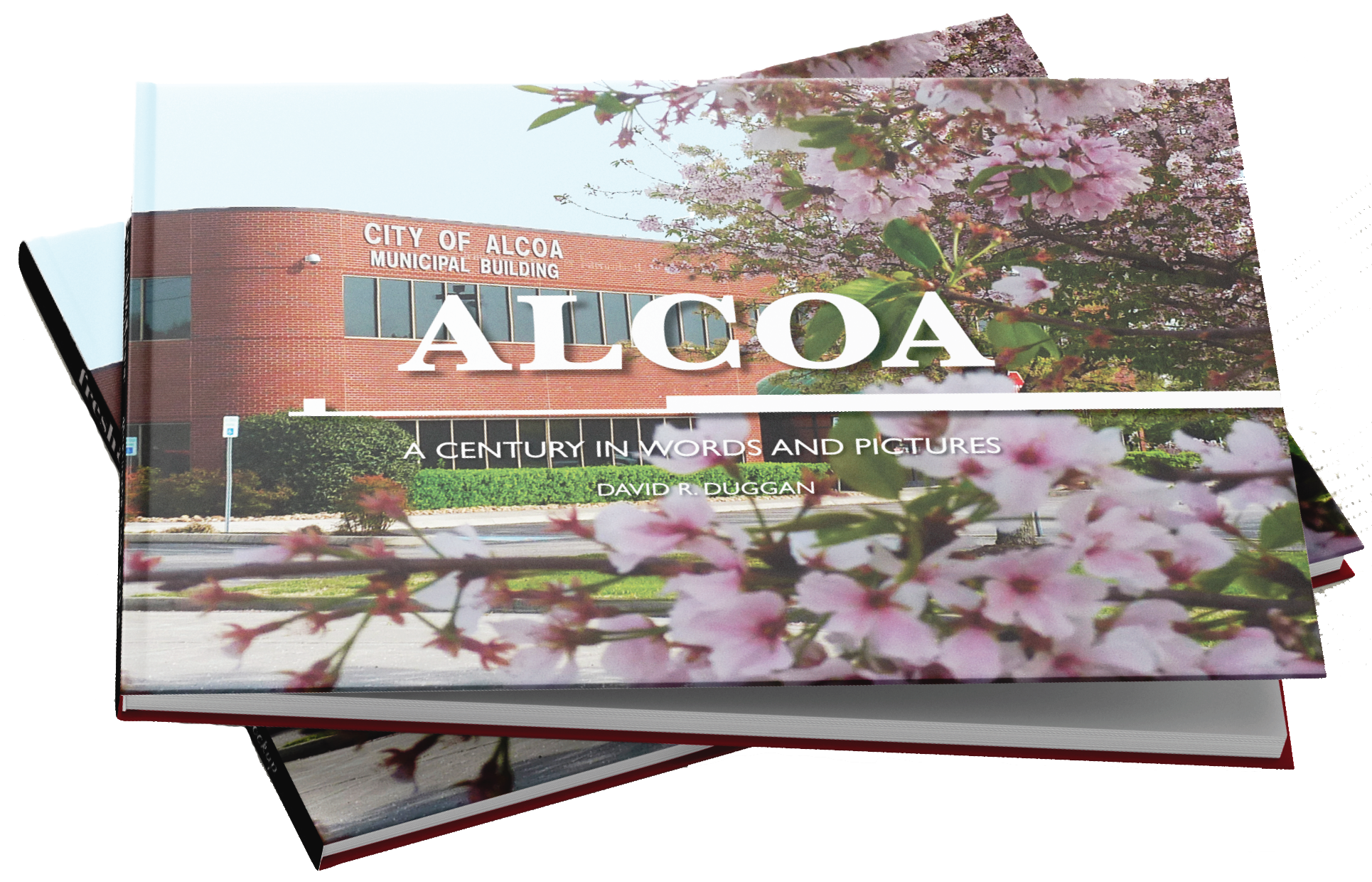 Image of Centennial book cover